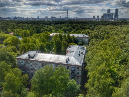 Москва. Район Богородское. Дома 4 и 6 на Яузской аллее на территории парка `Лосиный остров`.