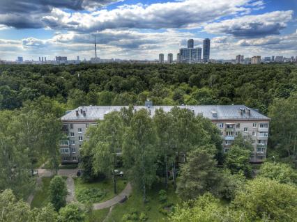 Москва. Район Богородское. Дома 4 и 6 на Яузской аллее на территории парка `Лосиный остров`.