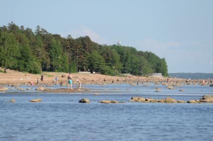 Санкт-Петербург.  Отдыхающие на комаровском пляже Финского залива.