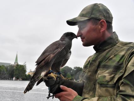 Москва. Сотрудник орнитологической службы с  с ястребом Астуром на территории Московского Кремля.