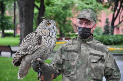 Москва. Сотрудник орнитологической службы с филином Филей на территории Московского Кремля.