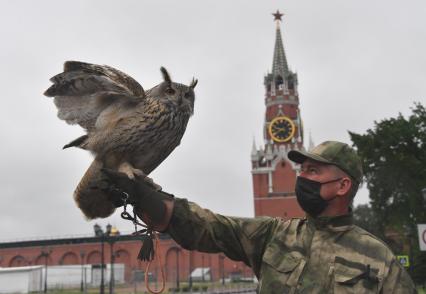 Москва. Сотрудник орнитологической службы с филином Филей на территории Московского Кремля.