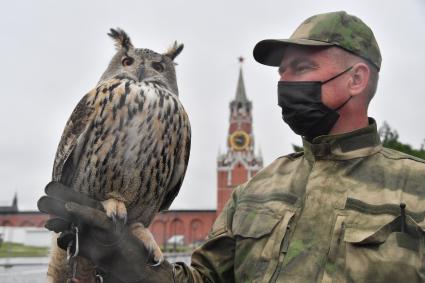 Москва. Сотрудник орнитологической службы с филином Филей на территории Московского Кремля.