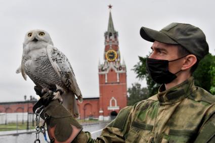 Москва. Сотрудник орнитологической службы с полярной совой Бураном на территории Московского Кремля.