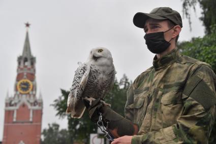 Москва. Сотрудник орнитологической службы с ястребом на территории Московского Кремля.