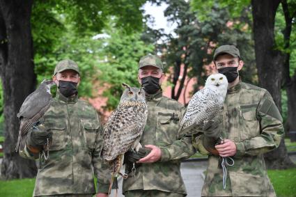 Москва. Сотрудники орнитологической службы  Кремля  Михаил, Денис и Алексей со своими птицами.