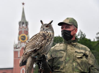 Москва. Сотрудник орнитологической службы с филином Филей на территории Московского Кремля.