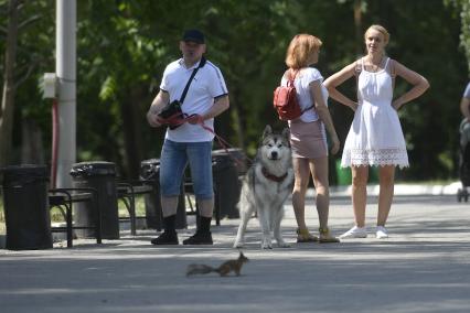 Екатеринбург.Горожане с собакой породы маламут наблюдают за белкой в ЦПКиО им.Маяковского