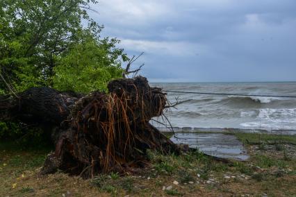 Сочи. Шторм на Черном море.