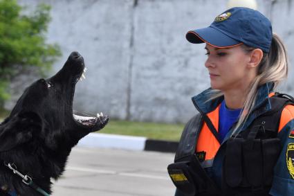 Московская область. г.Ногинск. 46 Кинологический центр, входящий с состав 179 спасательного центра МЧС РФ.