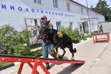 Московская область. г.Ногинск. 46 Кинологический центр, входящий с состав 179 спасательного центра МЧС РФ.