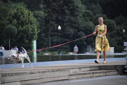 Москва. Девушка с собакой породы далматинец во время прогулки на ВДНХ.