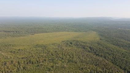 Красноярский край. Вид с вертолета на лес.