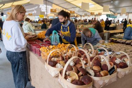 Московская область. Продажа грибов на гастрономическом фестивале `Сыр Пир Мир`на территории Истринской сыроварни в деревне Дубровское.