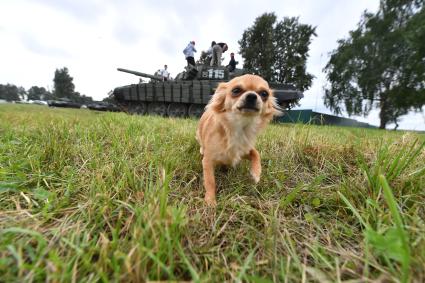 Московская область. Посетители в военно-патриотическом парке культуры и отдыха Вооруженных сил РФ \"Патриот\" во время закрытия Международного военно-технического форума `Армия-2021`.