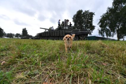 Московская область. Посетители в военно-патриотическом парке культуры и отдыха Вооруженных сил РФ \"Патриот\" во время закрытия Международного военно-технического форума `Армия-2021`.