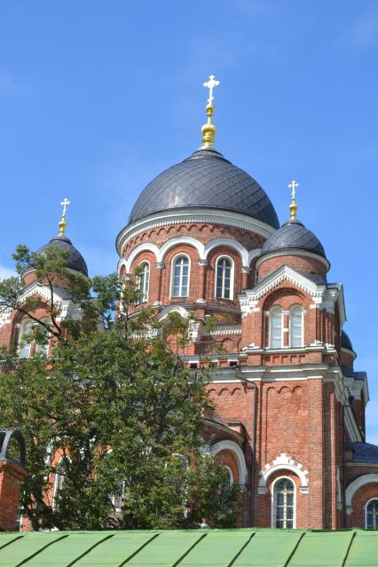 Московская область, Бородино. Собор Владимирской иконы Божией Матери на территории Спасо-Бородинского женского монастыря.