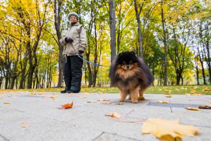 Москва. Женщина гуляет с собакой в парке `Яуза.`