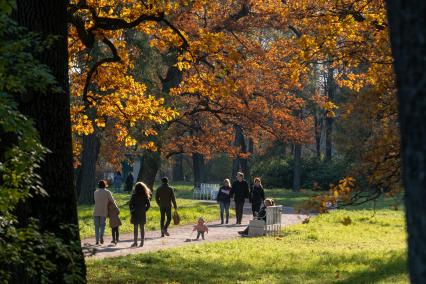 Санкт- Петербург.  Вид Екатерининского парка в Царском Селе осенью.