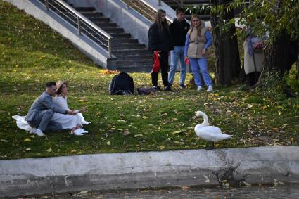 Москва. Мужчина фотографирует белого лебедя в парке на ВДНХ.