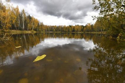 Московская область.  На озере  Красное в Балашихе, по форме напоминающее  сердце.