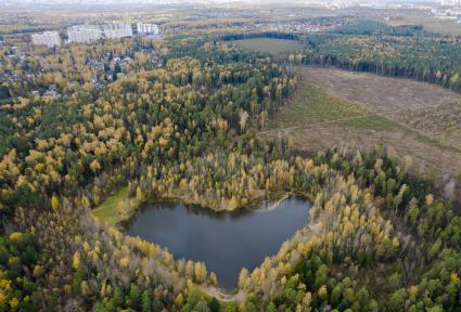 Московская область.  Вид сверху на озеро  Красное в Балашихе, по форме напоминающее  сердце.