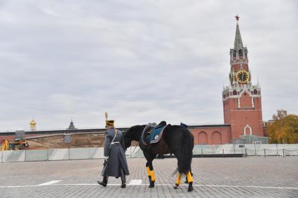 Москва.  Военнослужащий роты специального караула Президентского полка ФСО России перед началом церемонии развода пеших и конных караулов на Соборной площади Московского Кремля.