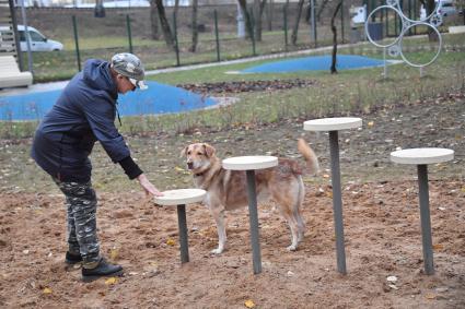 Москва. Женщина гуляет с собакой на кинологической площадке.