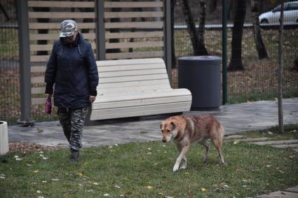 Москва. Женщина гуляет с собакой на кинологической площадке.