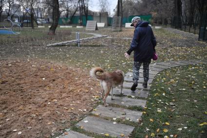 Москва. Женщина гуляет с собакой на кинологической площадке.