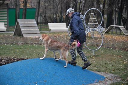 Москва. Женщина гуляет с собакой на кинологической площадке.