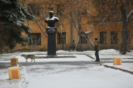 Екатеринбург. Мужчина гуляет с собакой во время первого снега