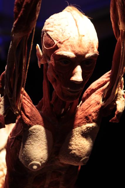 ВДНХ. Выставка BODY WORLDS. 2021