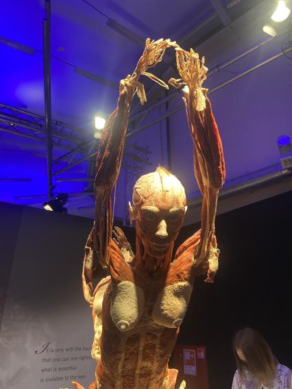 ВДНХ. Выставка BODY WORLDS. 2021