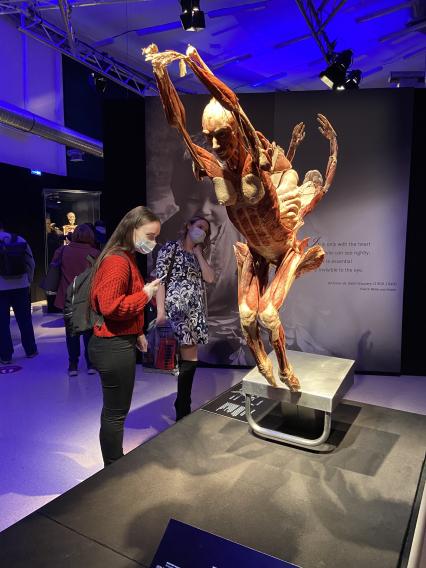 ВДНХ. Выставка BODY WORLDS. 2021