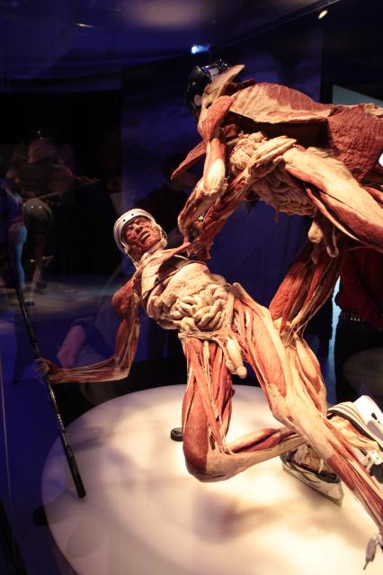 ВДНХ. Выставка BODY WORLDS. 2021