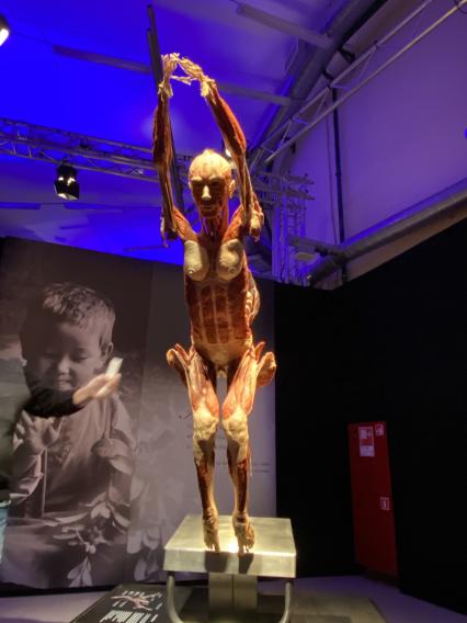 ВДНХ. Выставка BODY WORLDS. 2021