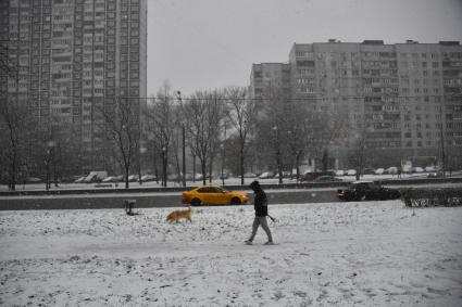 Москва.   Прохожий с собакой на заснеженной улице.