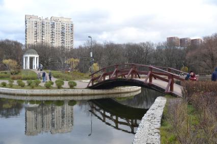 Москва. Пруд в парке `Дубки`.