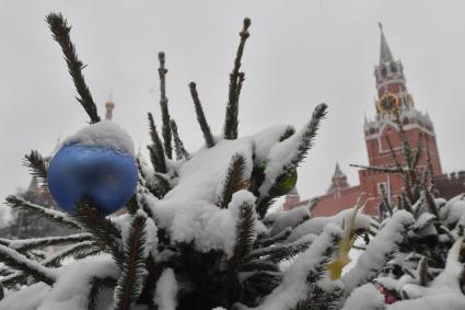Москва. Новогодняя елка на Касной площади.