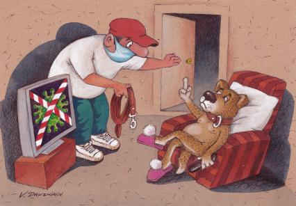 Карикатура. Хозяин в маске зовет гулять собаку, а та смотрит по телевизору передачу про короанвирус, показывает средний палец хозяину и гулять не идет.