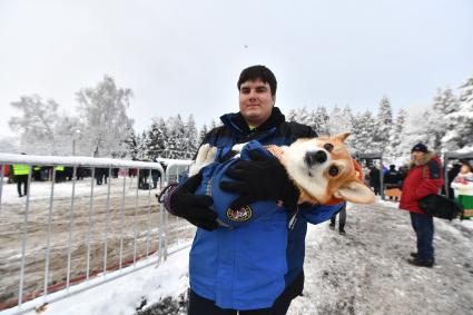 Московская область. Собака породы вельш-корги в деревне Новопареево городского округа Щелково, где будет срублена главная новогодняя елка страны.