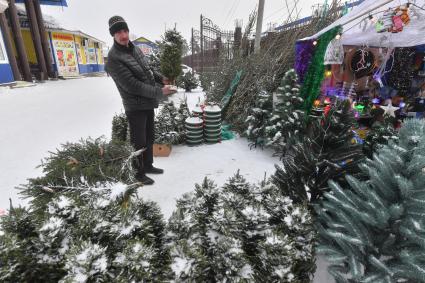 Москва. Торговля  новогодними елками .