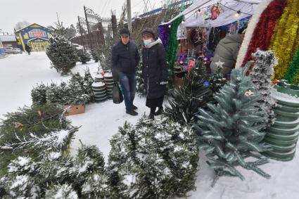 Москва. Торговля  новогодними елками .