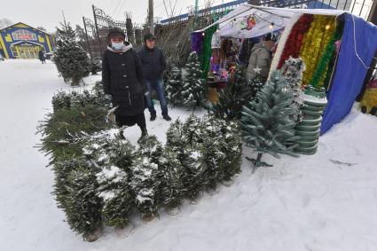 Москва. Торговля  новогодними елками .