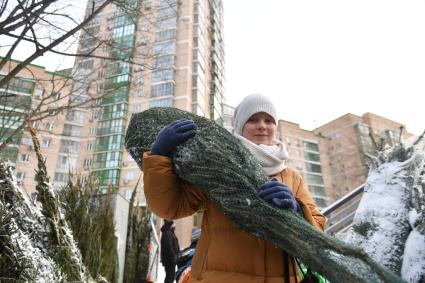 Москва.  Девушка несет новогоднюю елку.