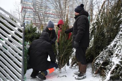 Москва. Покупатели на  елочном базаре.