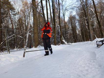 Москва. Рабочий несет ограждение в парке `Покровское-Стрешнево` во время реконструкции.