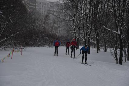 Москва. Горожане во время катания на лыжах в парке.