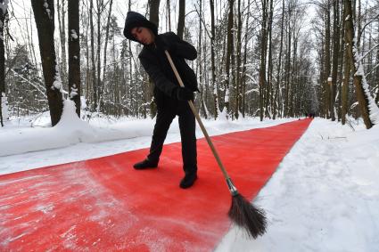 Московская область.  Лэнд-арт проект `Белый лес`ужчина подметает  красную дорожку  в Парке Малевича  Одинцвского района, которую расстелили в лесу в рамках   Лэнд-арт проекта `Белый лес`.